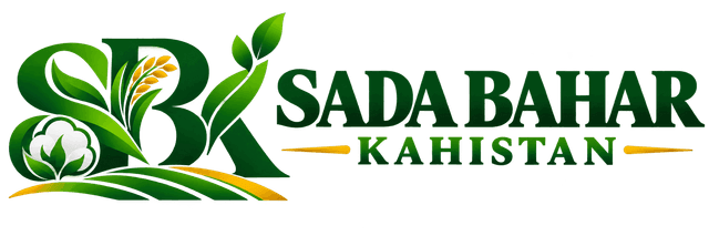 SADA BAHAR KOHISTAN